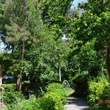Apartament Antonia Sat Vacanta Constanta Exterior photo
